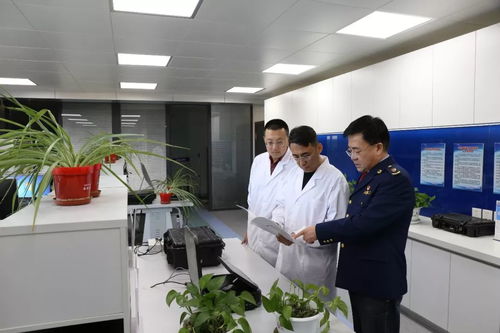 大數(shù)據(jù)驅(qū)動(dòng)的定制化監(jiān)測(cè) 如何利用軟件開發(fā)高效發(fā)掘與研判網(wǎng)絡(luò)食品安全案件線索